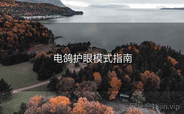 电鸽护眼模式指南  第2张