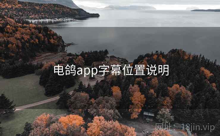 电鸽app字幕位置说明  第2张