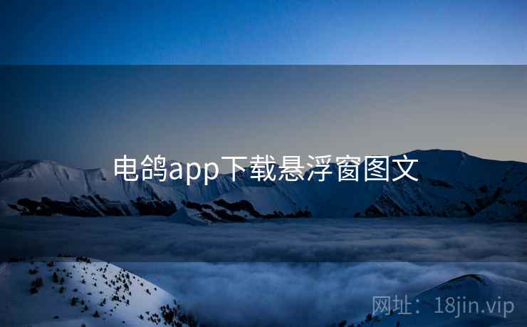 电鸽app下载悬浮窗图文  第2张