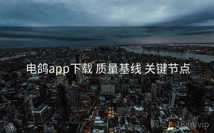 电鸽app下载 质量基线 关键节点  第1张