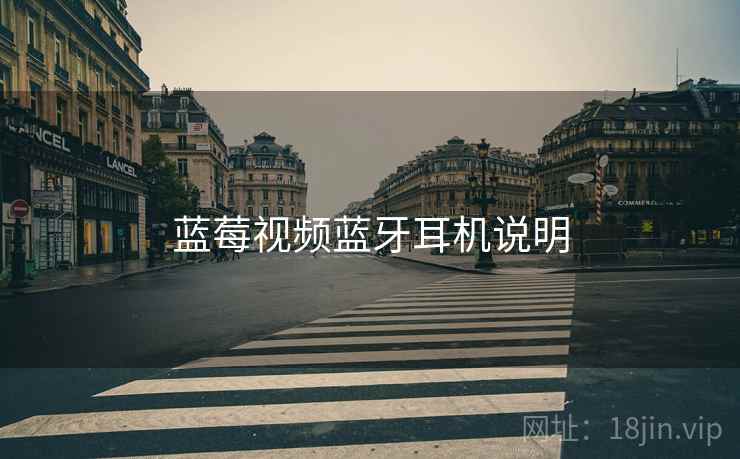 蓝莓视频蓝牙耳机说明  第1张