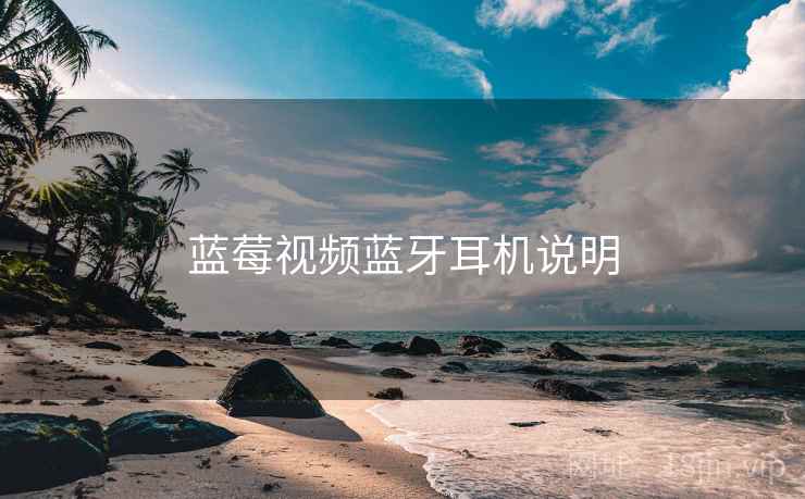 蓝莓视频蓝牙耳机说明  第2张