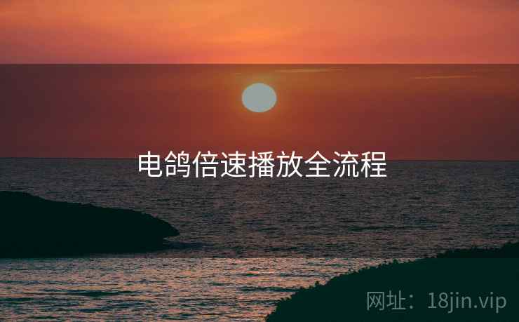 电鸽倍速播放全流程  第2张
