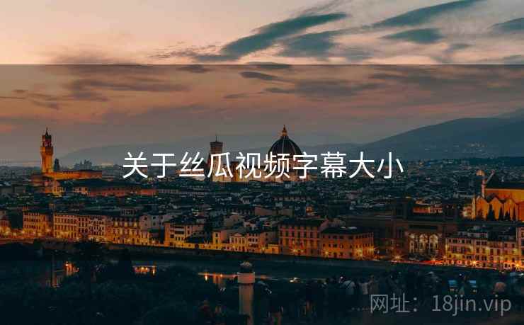 关于丝瓜视频字幕大小  第1张