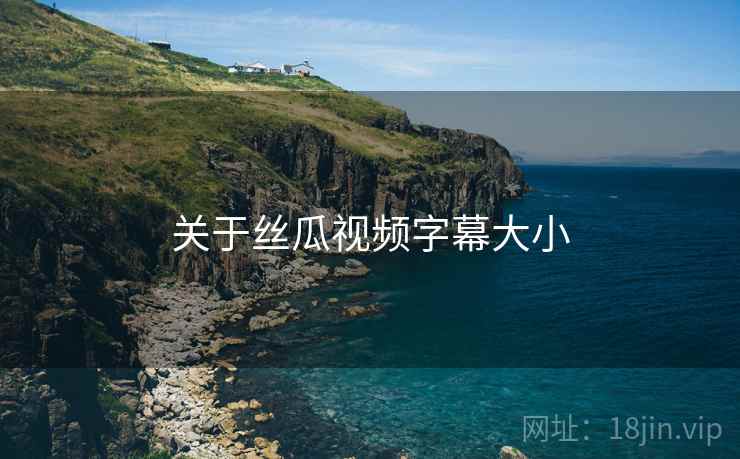 关于丝瓜视频字幕大小  第2张