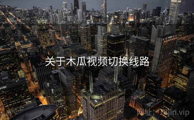 关于木瓜视频切换线路  第2张
