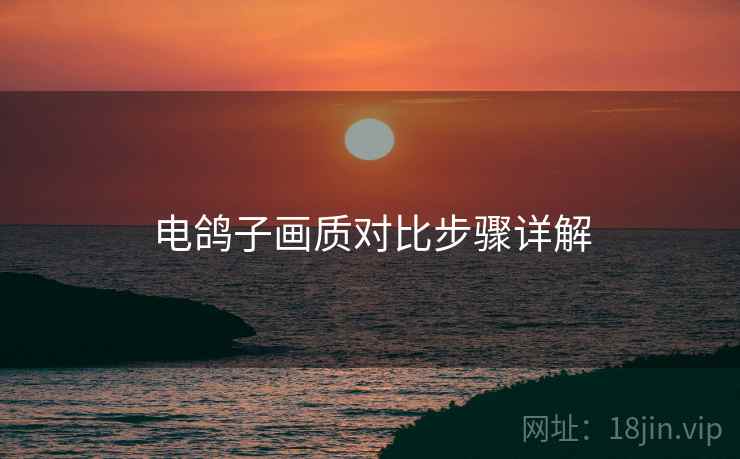 电鸽子画质对比步骤详解  第2张