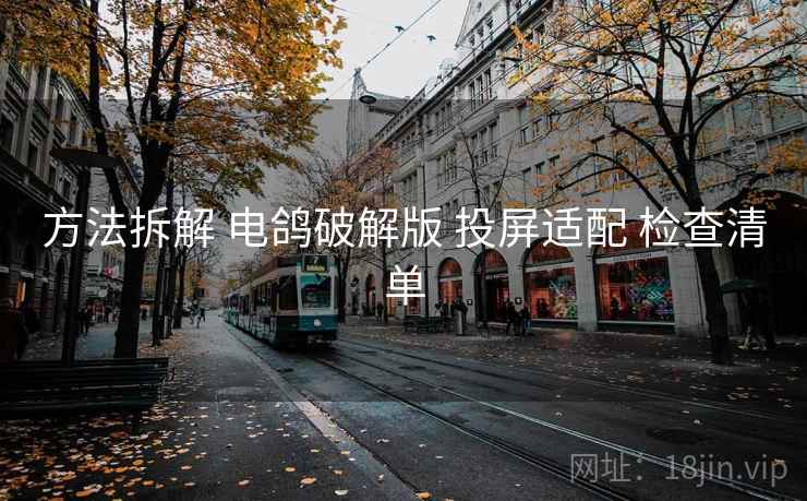 方法拆解 电鸽破解版 投屏适配 检查清单  第2张