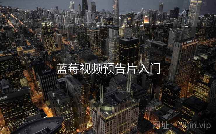 蓝莓视频预告片入门  第2张