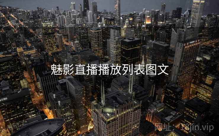 魅影直播播放列表图文  第2张
