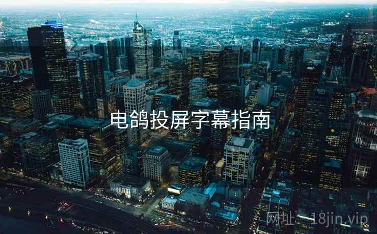 电鸽投屏字幕指南  第1张