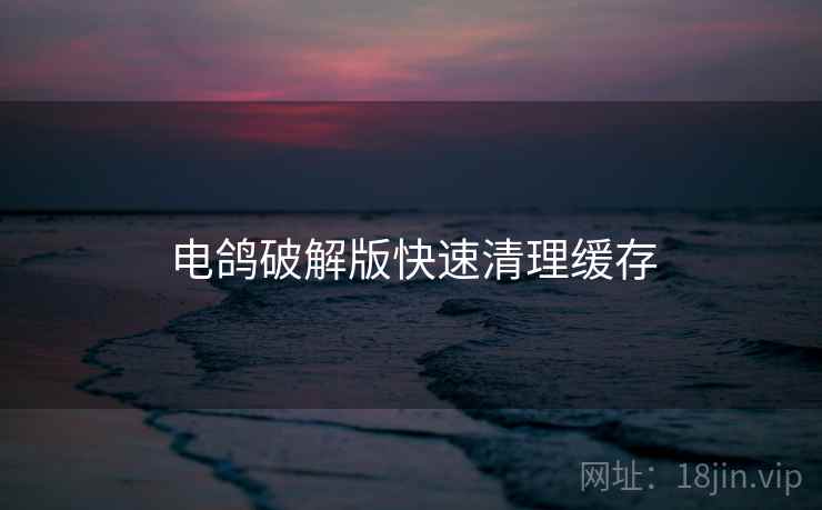 电鸽破解版快速清理缓存  第2张
