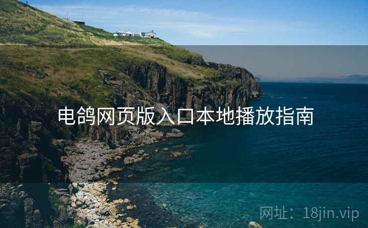 电鸽网页版入口本地播放指南