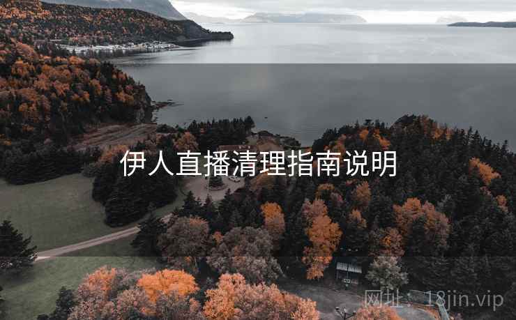 伊人直播清理指南说明  第1张