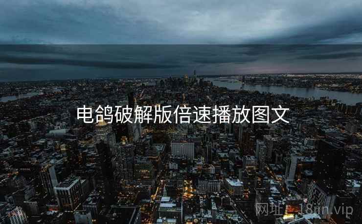 电鸽破解版倍速播放图文  第2张