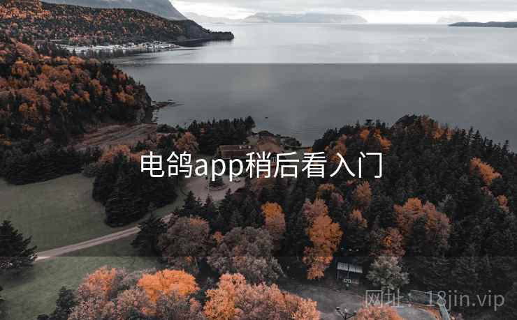 电鸽app稍后看入门  第2张