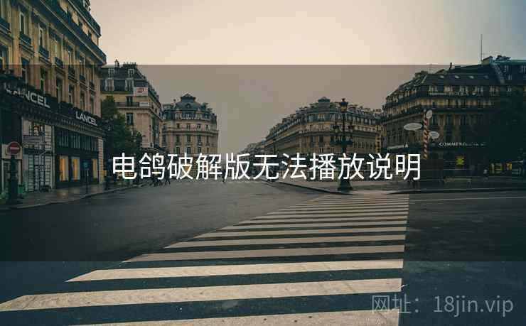 电鸽破解版无法播放说明  第1张
