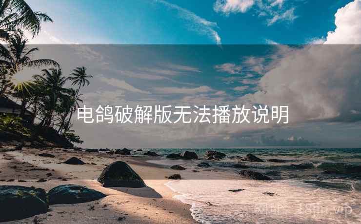 电鸽破解版无法播放说明  第2张