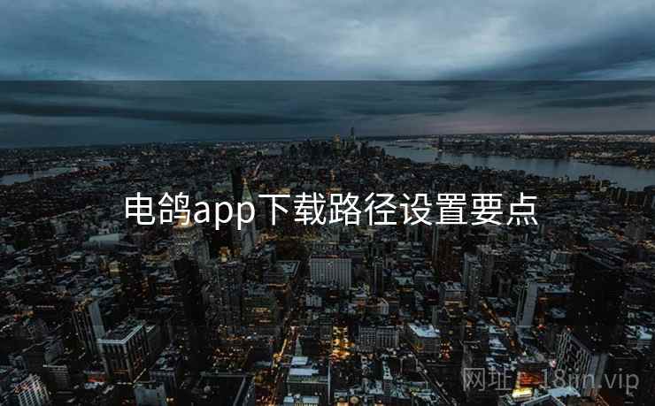 电鸽app下载路径设置要点  第1张