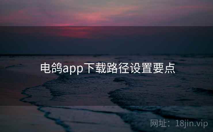 电鸽app下载路径设置要点  第2张