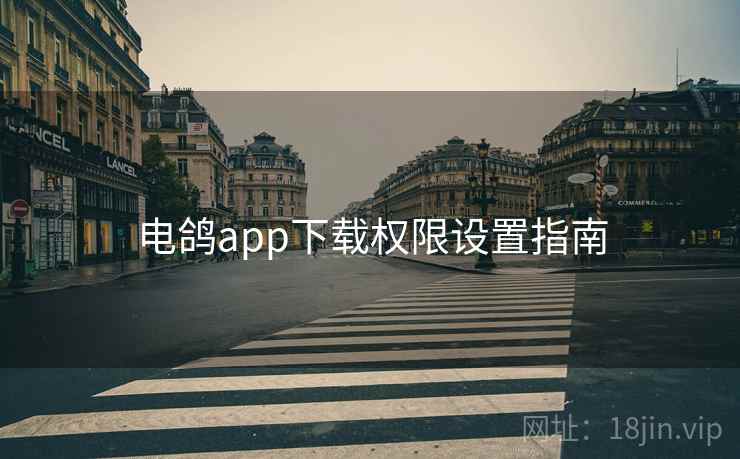 电鸽app下载权限设置指南  第2张