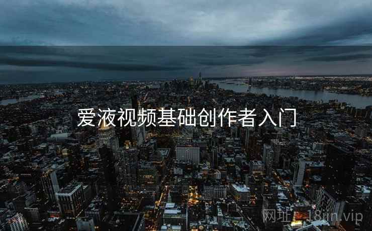 爱液视频基础创作者入门  第1张