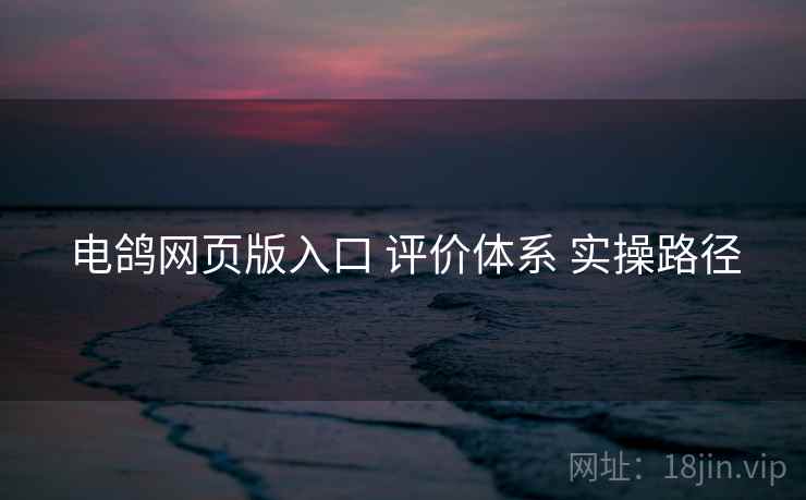 电鸽网页版入口 评价体系 实操路径  第1张