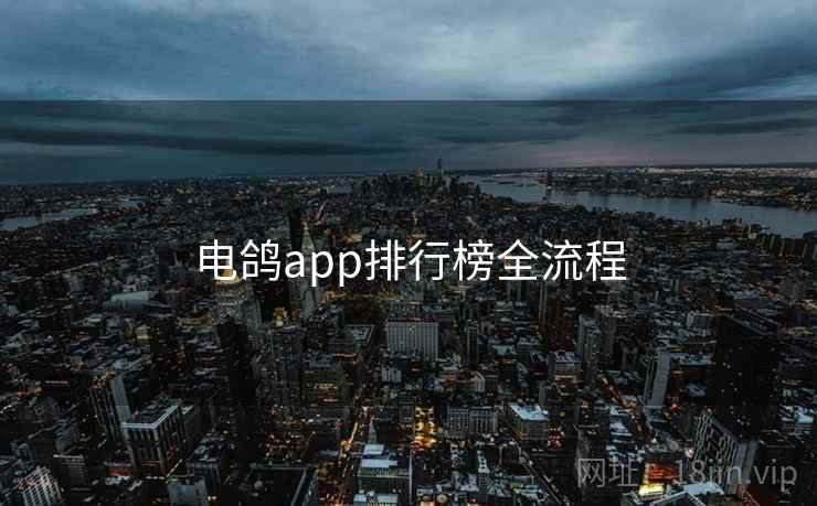 电鸽app排行榜全流程  第2张