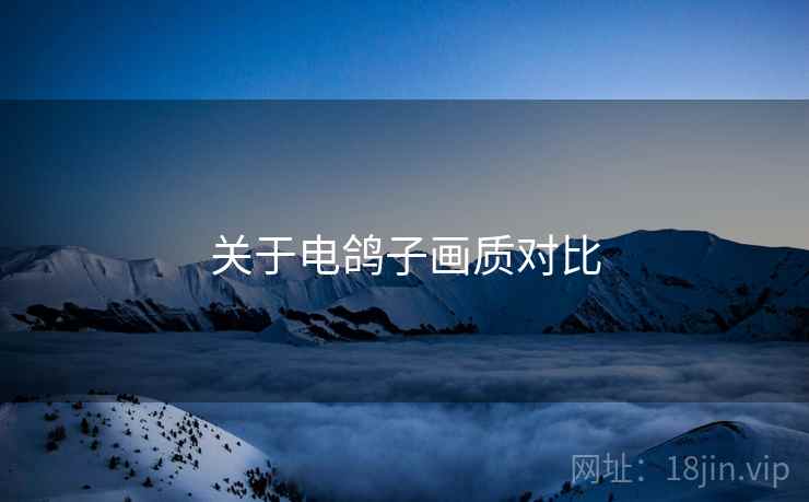 关于电鸽子画质对比  第1张
